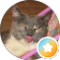 Caro h. Avatar