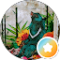 B R. Avatar